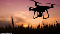 Gezoem drones het irritantst