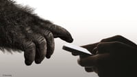 Een nieuwe variant op 'Gorilla Glass'